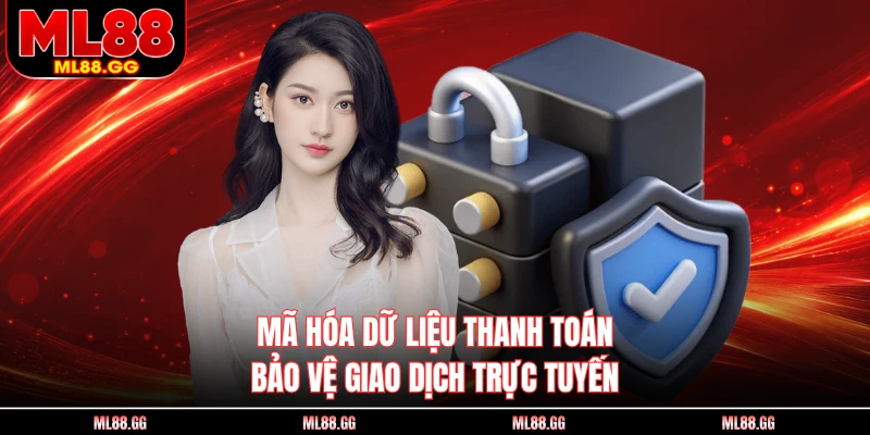Mã hóa dữ liệu thanh toán bảo vệ giao dịch trực tuyến