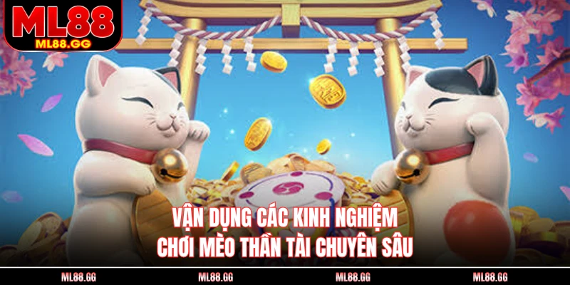 Vận dụng các kinh nghiệm chơi mèo thần tài chuyên sâu